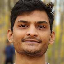 Mayur Parghi