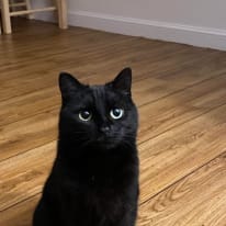 Mimi