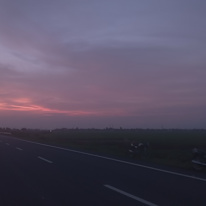Vinod