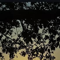 suraj khandait