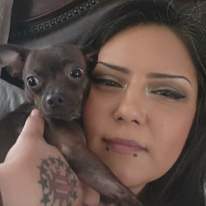 Gemiena