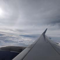 Tejas