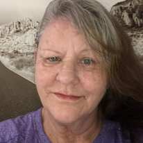 Wendi