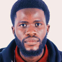 TA Ndlovu