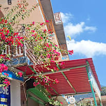 Vaishali