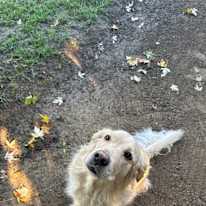 Parker