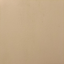 Moy