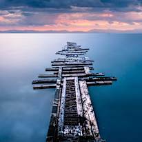 Lisa Ann Conflitti-Raposo