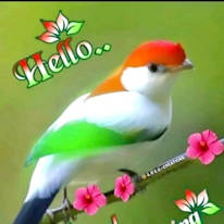 Lalitha