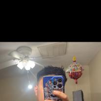 Gigi
