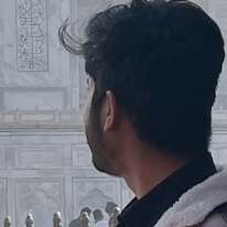 Aris Ansari