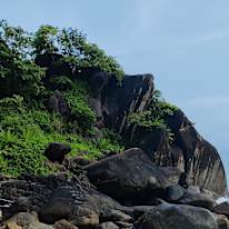 Alwin Antony