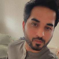Muhammad Hamza Anwar