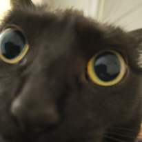 Axel