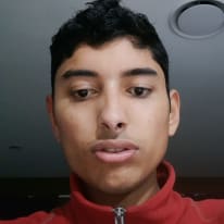 Swapnil Srijan