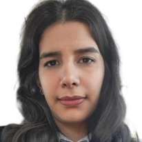 mina mirkazemi
