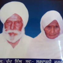 Harjot kaur Brar