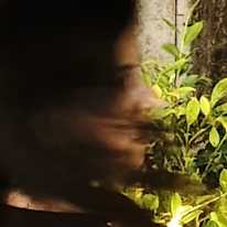 Aditi K