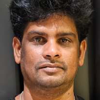 Parthasarathi V