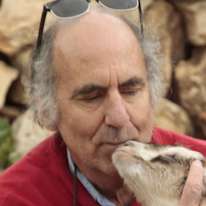Jerry shulman