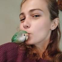 Giani