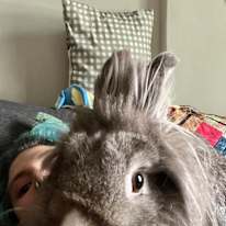 Casp