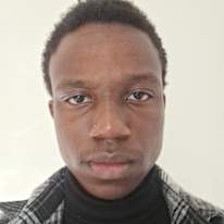 Andrew Ncube