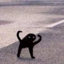 Kit