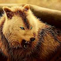Noah