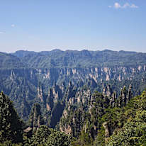 ZUO