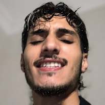 Anas
