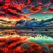Whitney