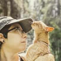 kitty