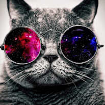 Bathurst-King Wellinton Place West Queen West Fort York Liberty Village