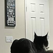 Andi