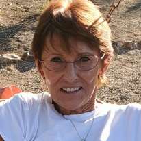Judy