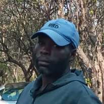 Dr Engela Young