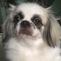 Vange