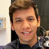 Daniel Andres Dender