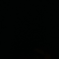 Shalini
