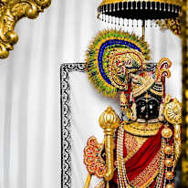 Ayush Patel