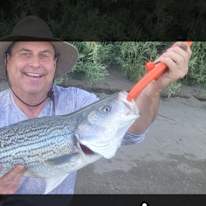 Dan Robbins