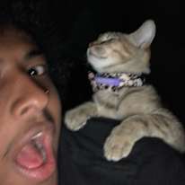 Nasir