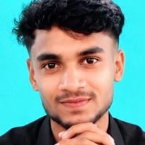Hamidul Islam