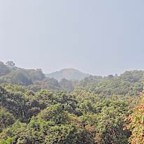 Nandana