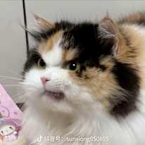 BINGSHUO
