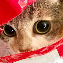 May