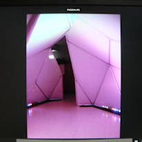 Miss Renee K. Taylor--Cleaner--French Degree--Theatre and Science Buff--Wants to help resolve an unconfirmed Crime-Incident