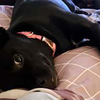 Cynthia