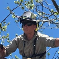 Shane